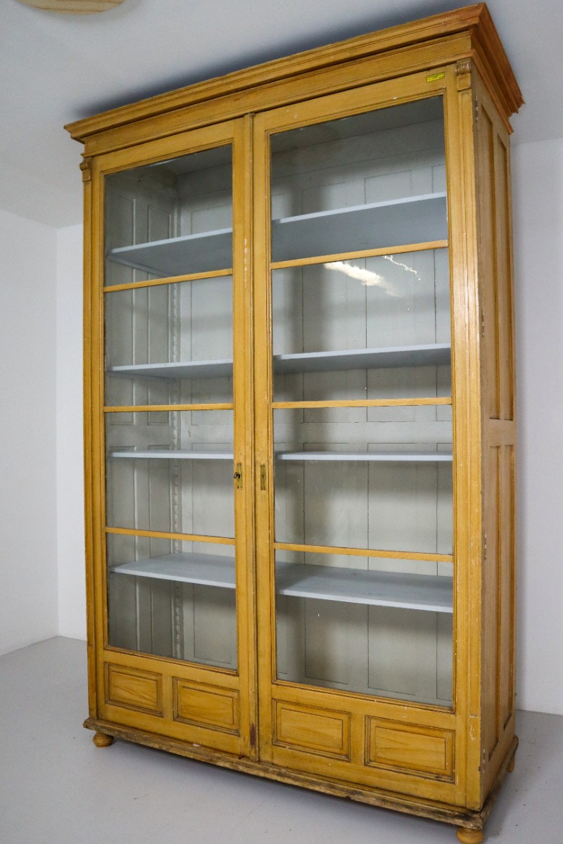 Antique Pine Grand Display Cabinet From University Vienna 1870