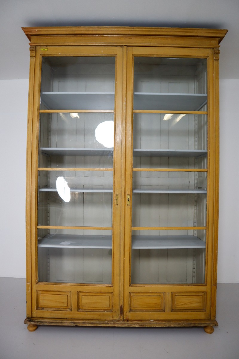 Antique Pine Grand Display Cabinet From University Vienna 1870