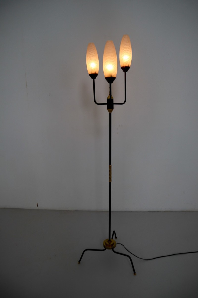 French Floorlamp, 1950