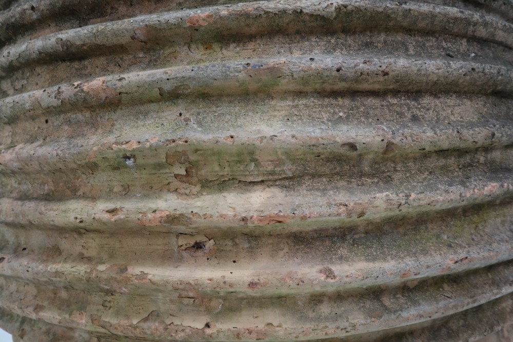 Giant Antique Terracotta Ribbed Olive Jar with Dark Lichen Patination