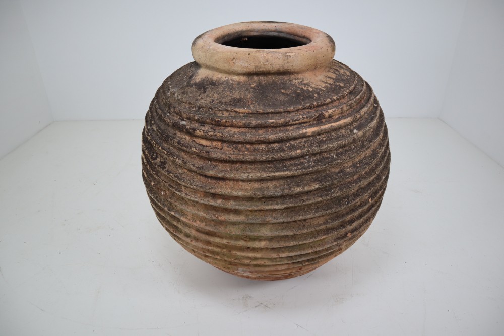 Giant Antique Terracotta Ribbed Olive Jar with Dark Lichen Patination
