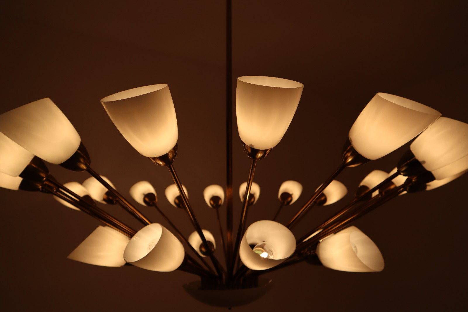 Large Midcentury Spider Form Sputnik Chandelier in Brass and 30 Glass Shades.