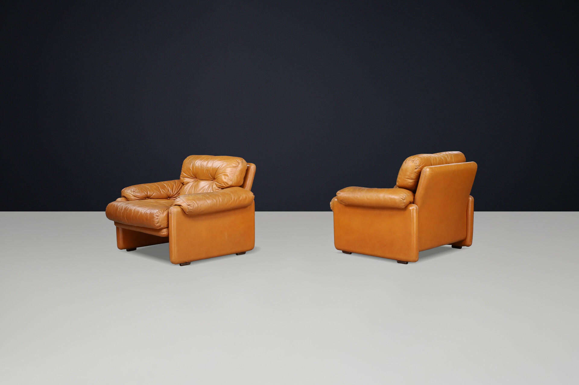 Mid century modern Afra & Tobia Scarpa Pair of 