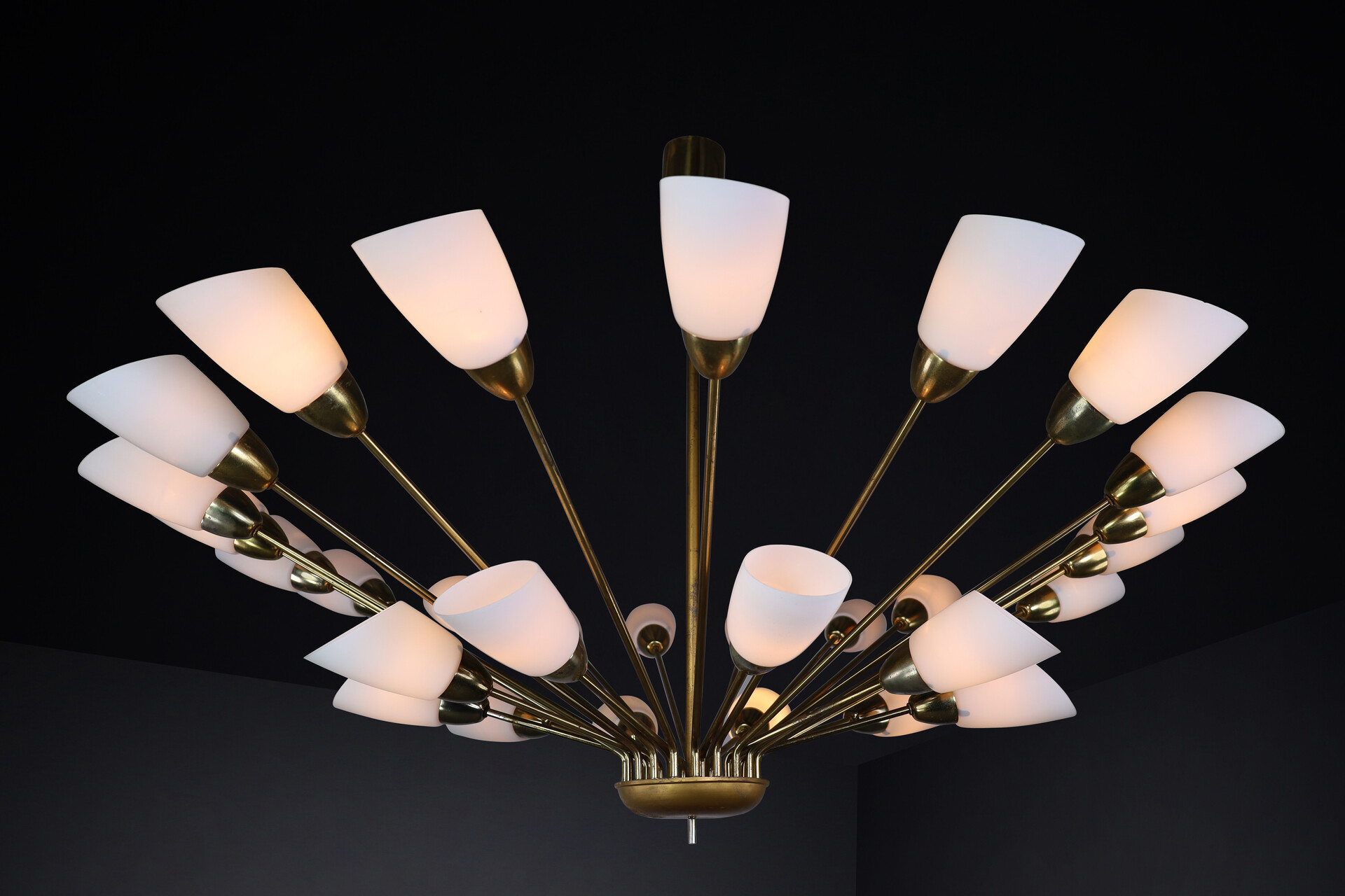 Mid century modern Brass and opaline glass spider chandelier, Germany 1950s Mid-20th century