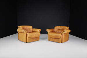 Mid century modern De Sede DS 14 Lounge Chairs in Patinated Cognac Leather, Switzerland, 1970s Mid-20th century