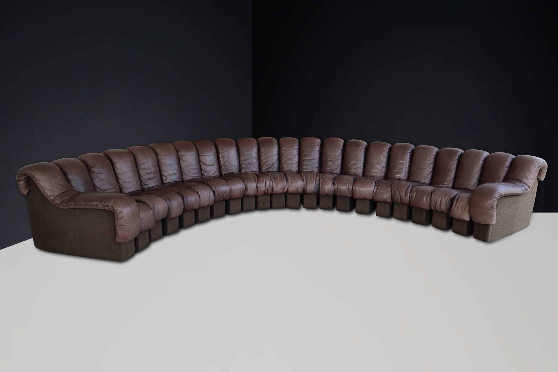Mid century modern De Sede DS 600 Snake Sofa in patinated Leather by Ueli Berger Switzerland 1972 Mid-20th century