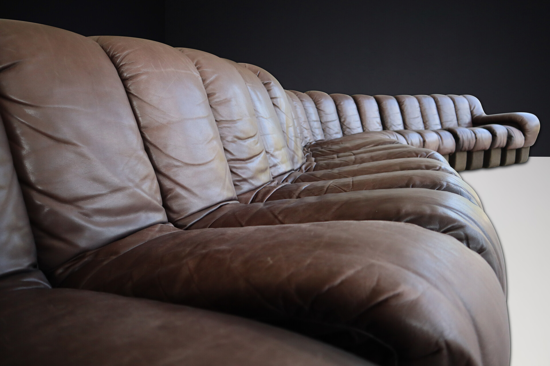 Mid century modern De Sede DS 600 Snake Sofa in patinated Leather by Ueli Berger Switzerland 1972 Mid-20th century