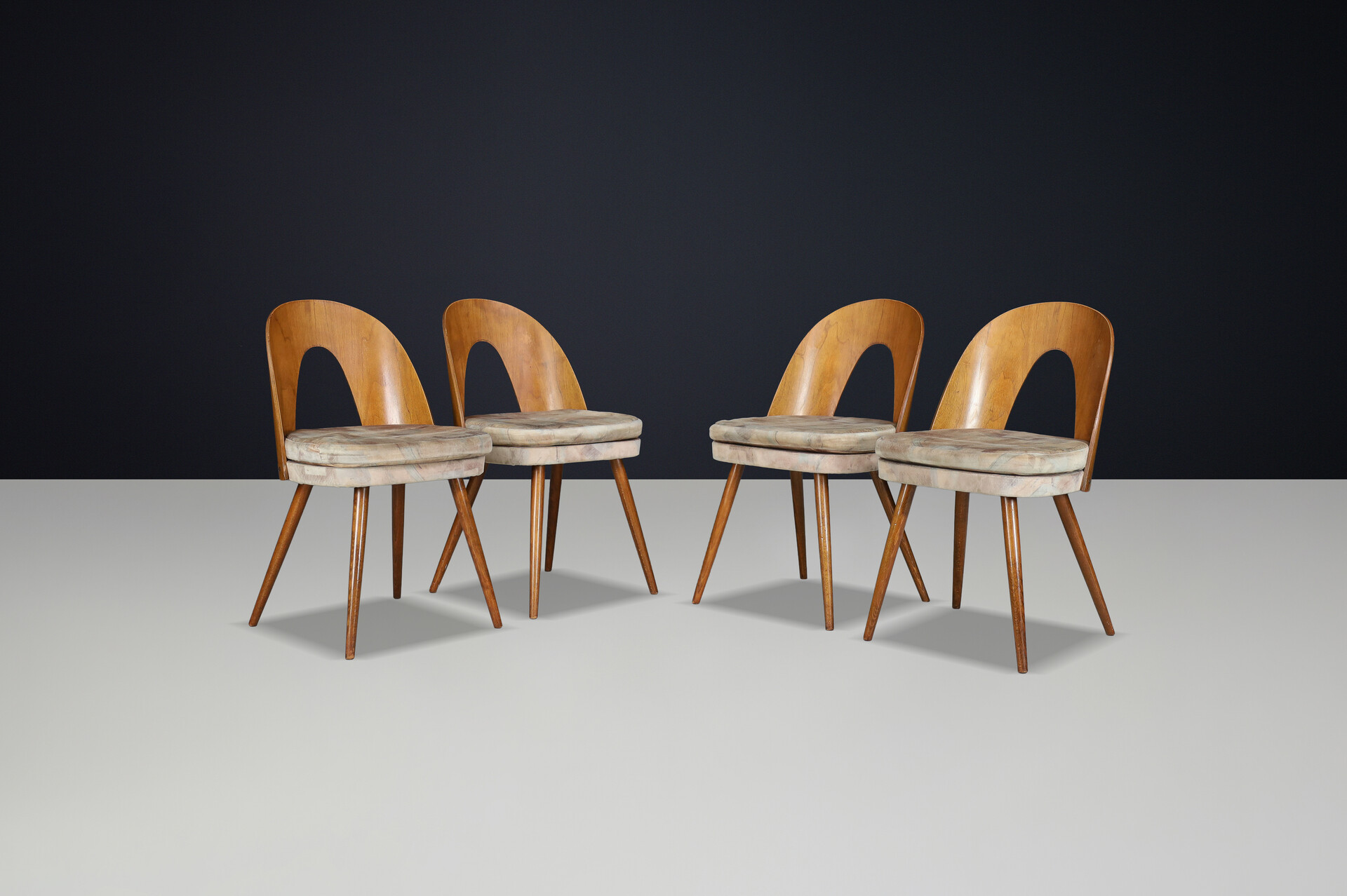 Mid century modern Dining Chairs by Antonin Suman, Czech Republic 1960s Mid-20th century