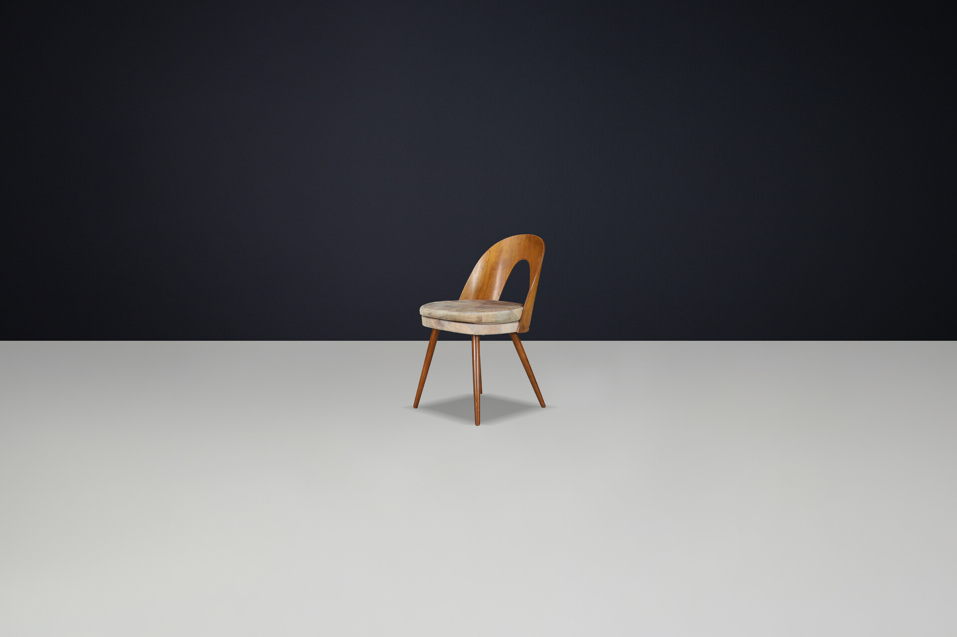 Mid century modern Dining Chairs by Antonin Suman, Czech Republic 1960s Mid-20th century