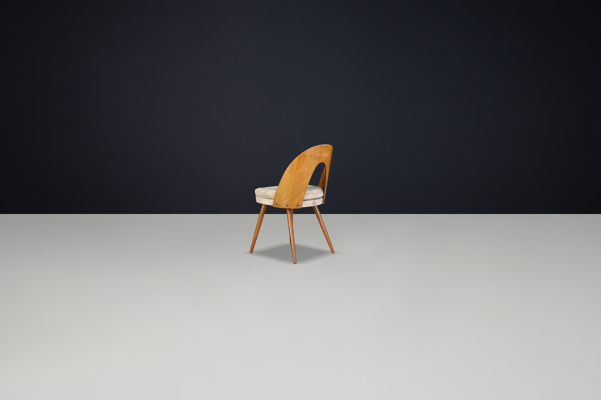 Mid century modern Dining Chairs by Antonin Suman, Czech Republic 1960s Mid-20th century