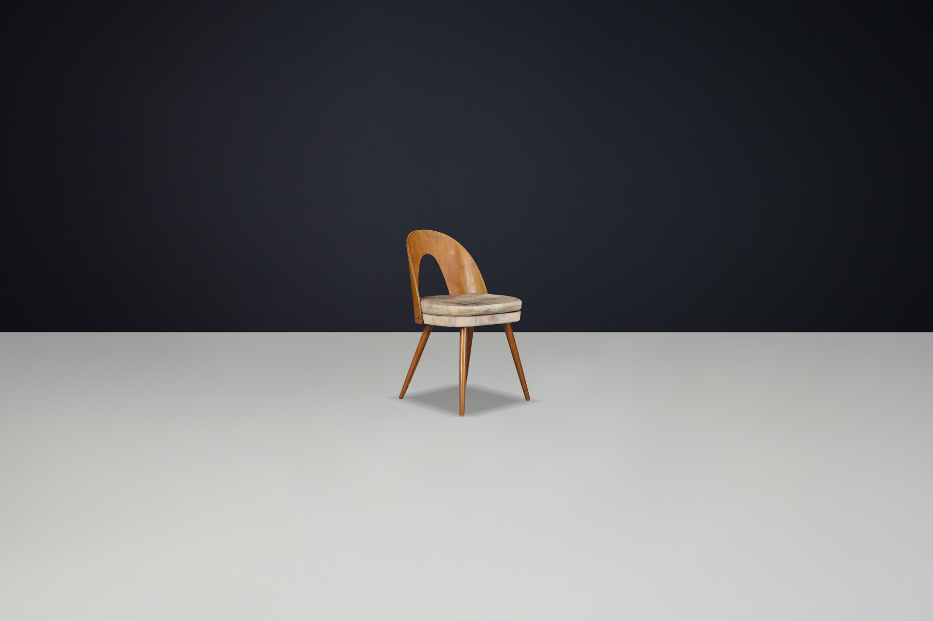 Mid century modern Dining Chairs by Antonin Suman, Czech Republic 1960s Mid-20th century