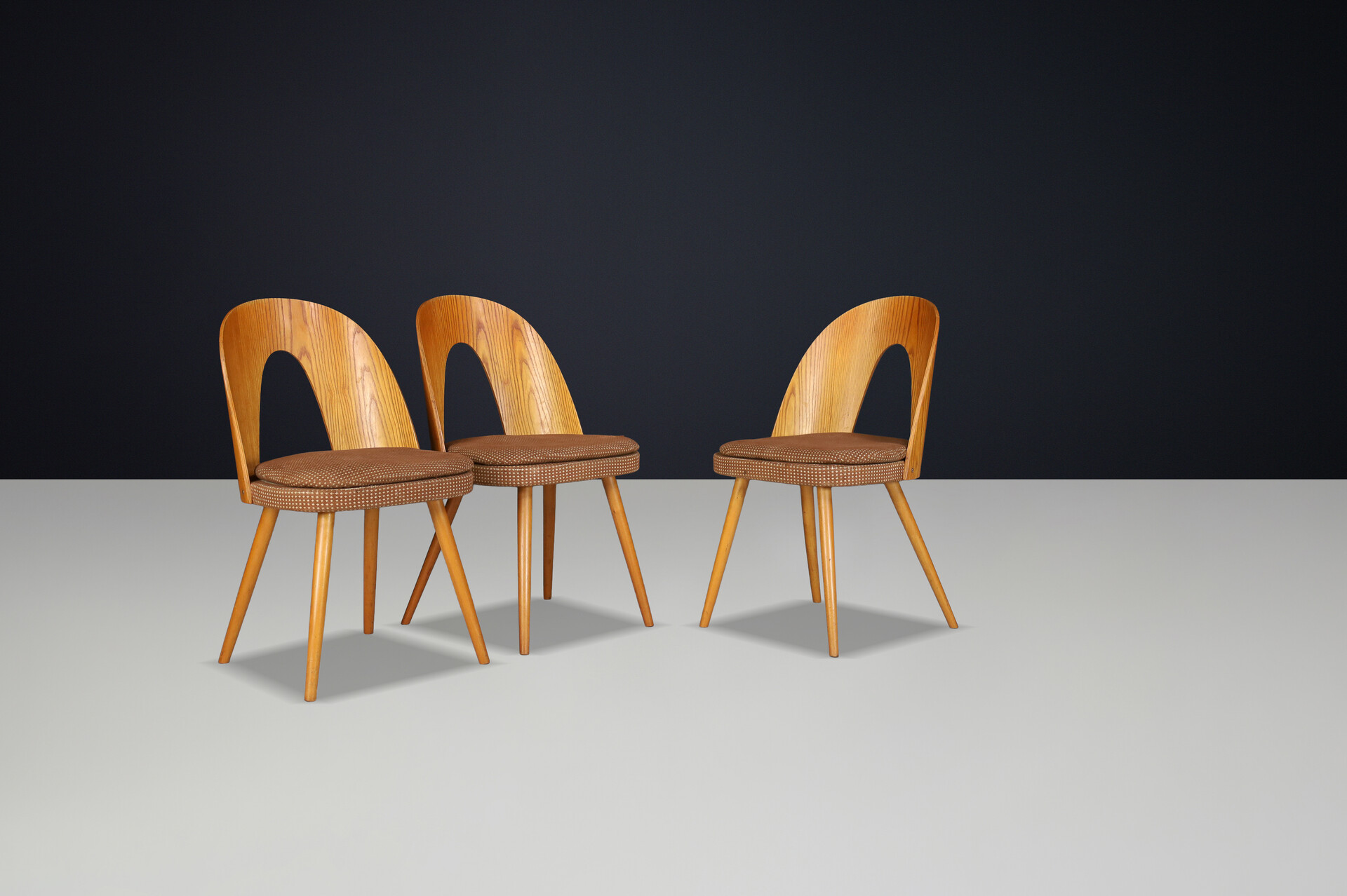 Mid century modern Dining Chairs by Antonin Suman, Czech Republic 1960s Mid-20th century