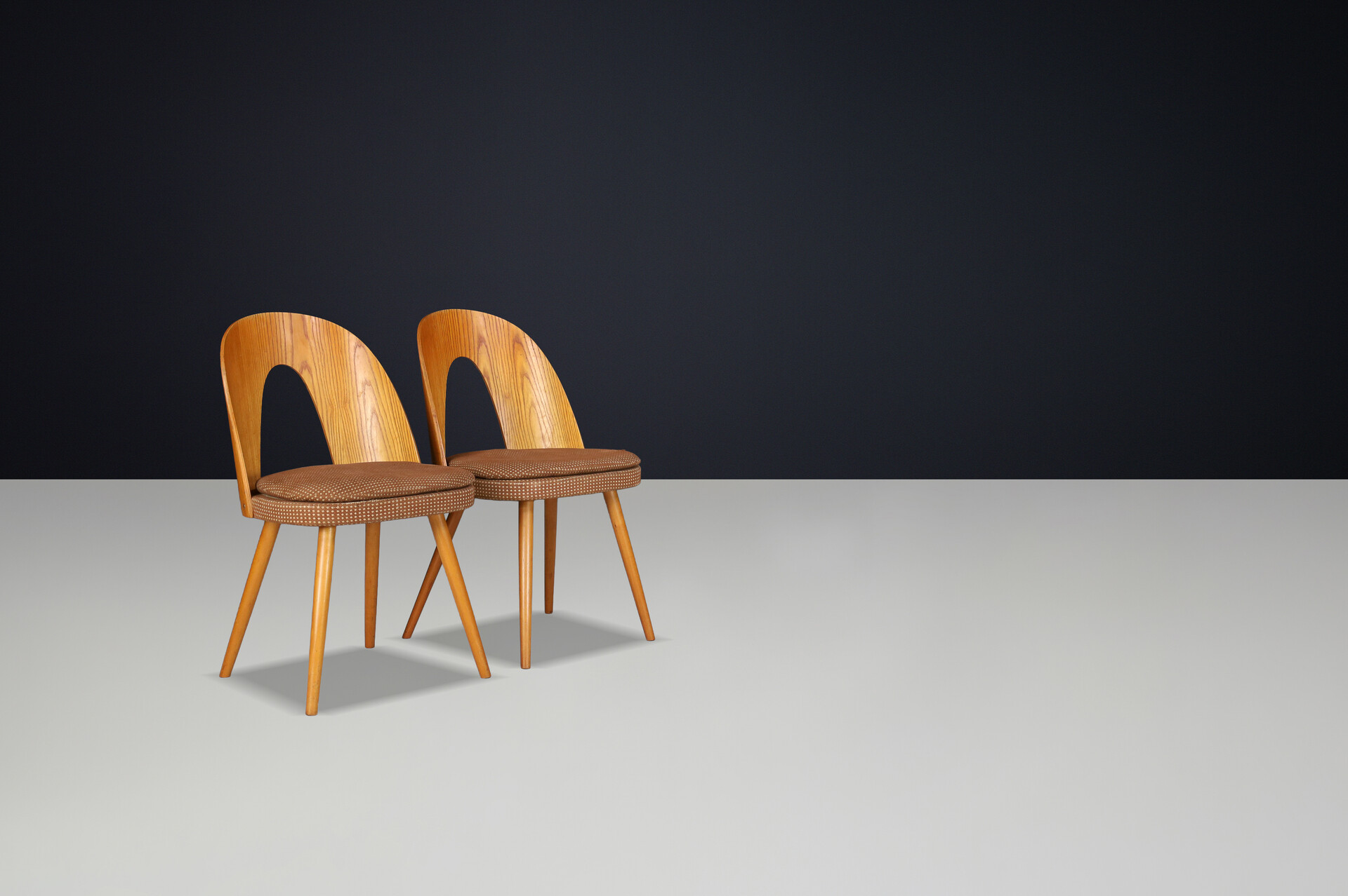 Mid century modern Dining Chairs by Antonin Suman, Czech Republic 1960s Mid-20th century