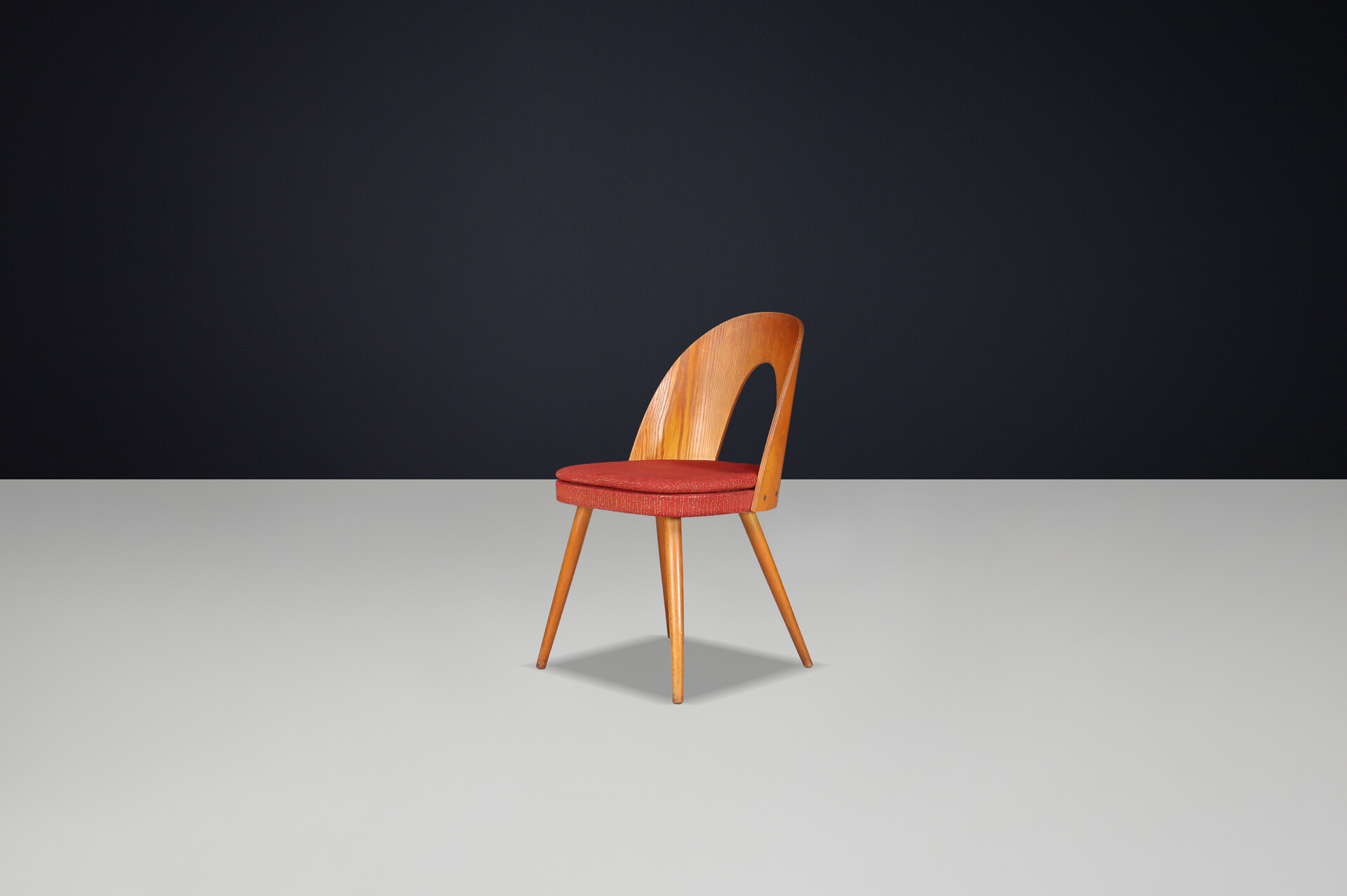 Mid century modern Dining Chairs by Antonin Suman, Czech Republic 1960s Mid-20th century