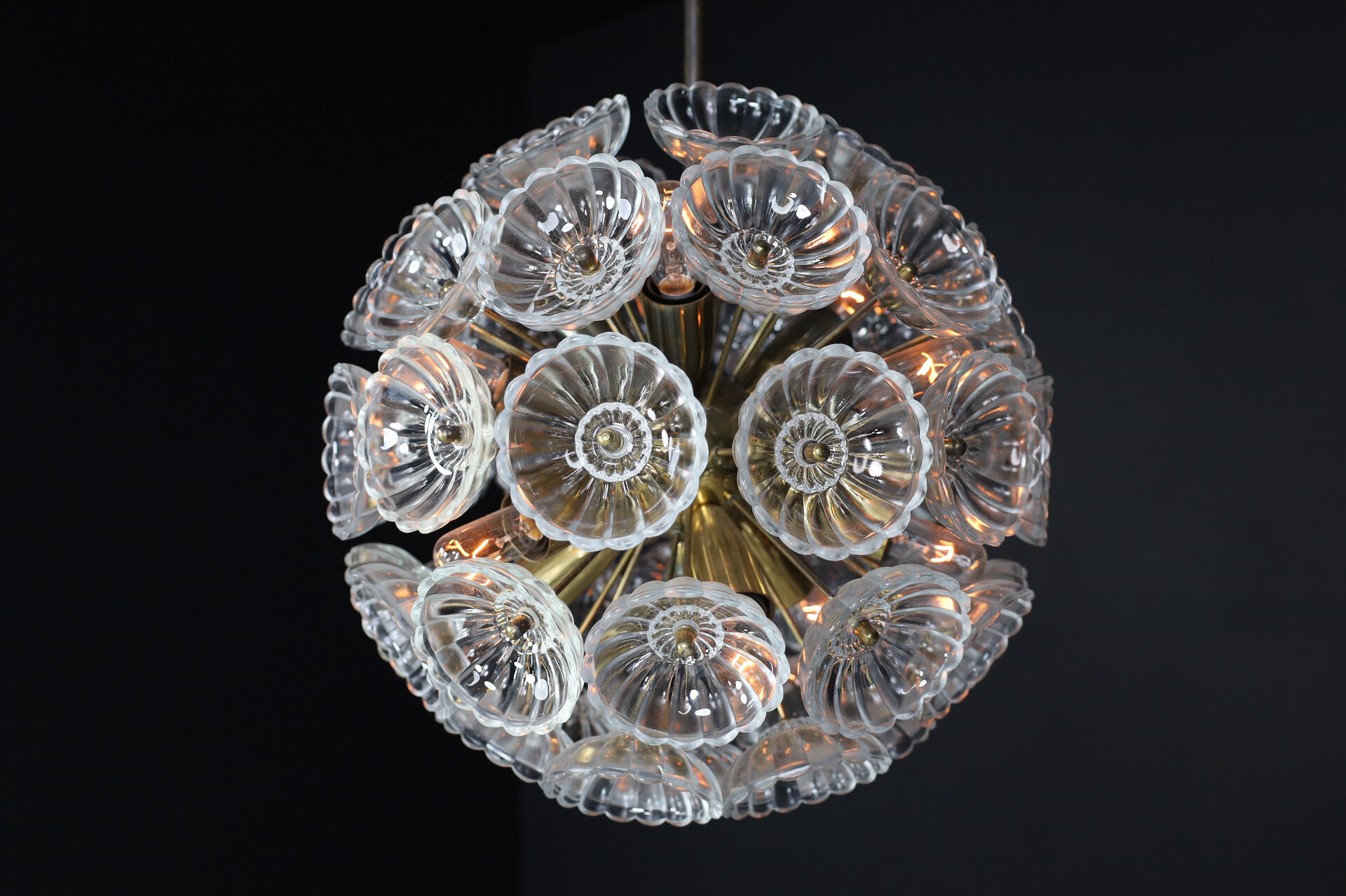 Mid century modern Floral Glass and Brass Chandelier, Germany, 1960s Mid-20th century