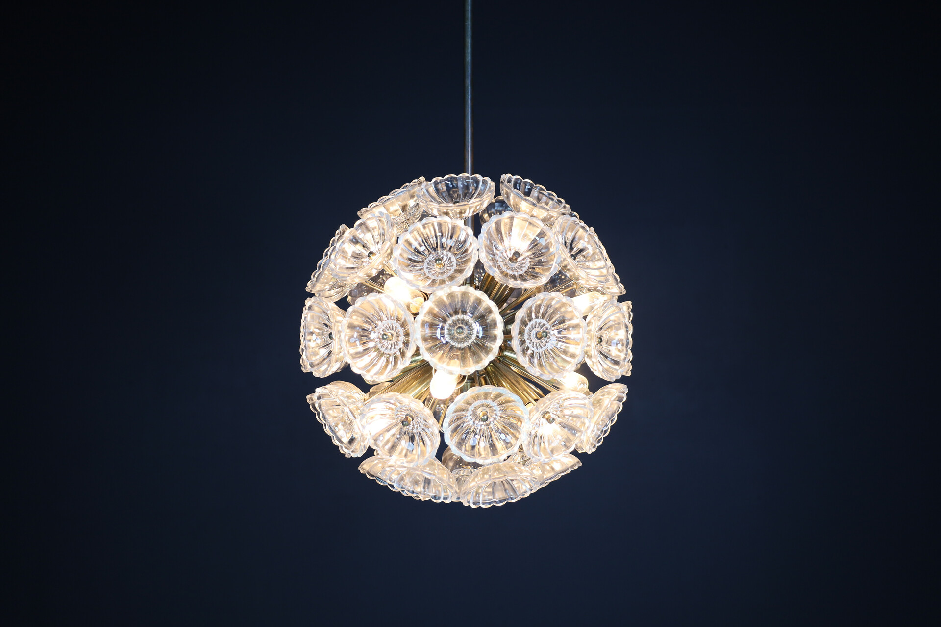 Mid century modern Floral Glass and Brass Chandelier, Germany, 1960s Mid-20th century