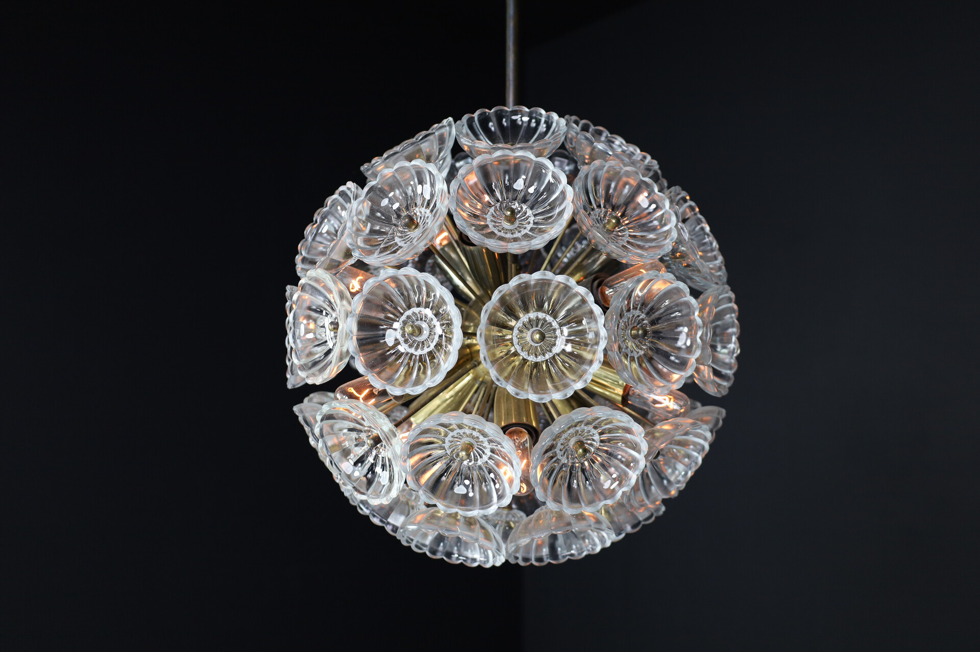 Mid century modern Floral Glass and Brass Chandelier, Germany, 1960s Mid-20th century