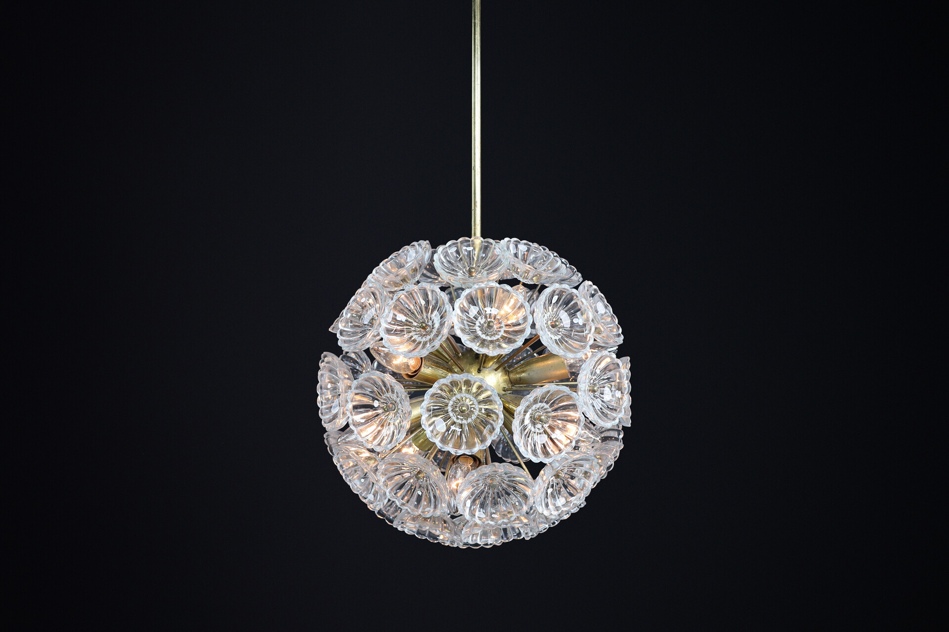 Mid century modern Floral Glass and Brass Chandelier, Germany, 1960s Mid-20th century