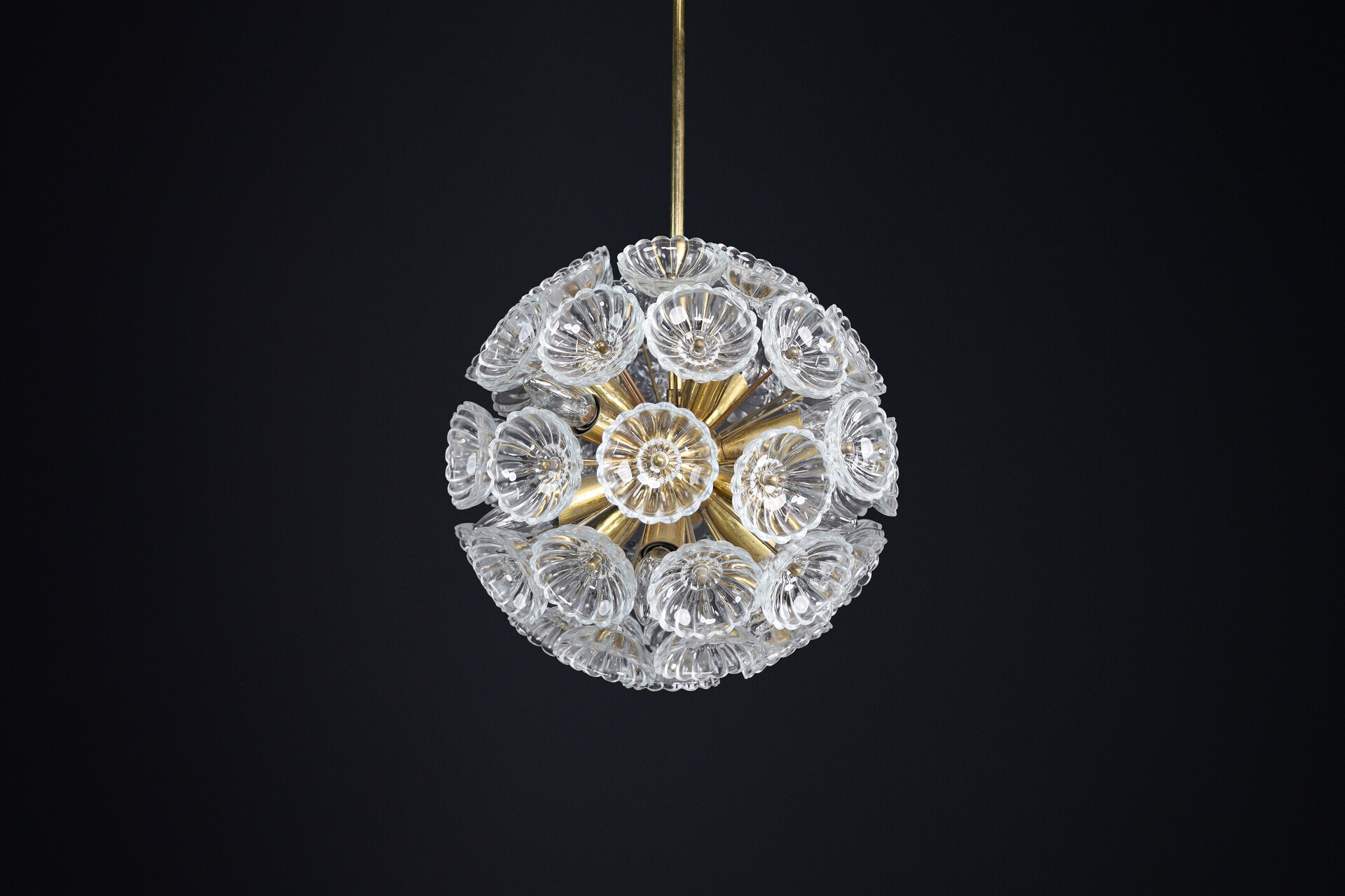 Mid century modern Floral Glass and Brass Chandelier, Germany, 1960s Mid-20th century