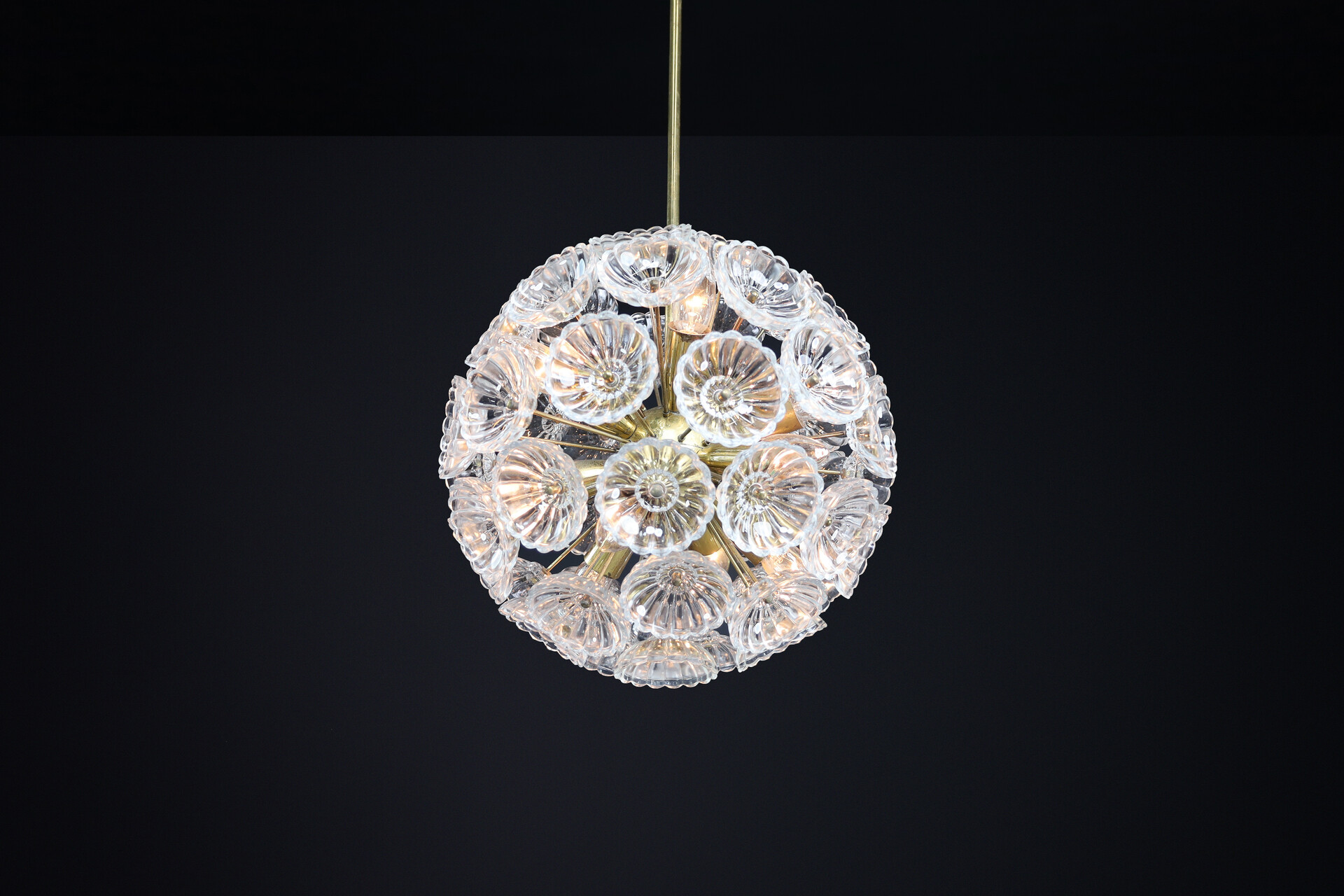 Mid century modern Floral Glass and Brass Chandelier, Germany, 1960s Mid-20th century