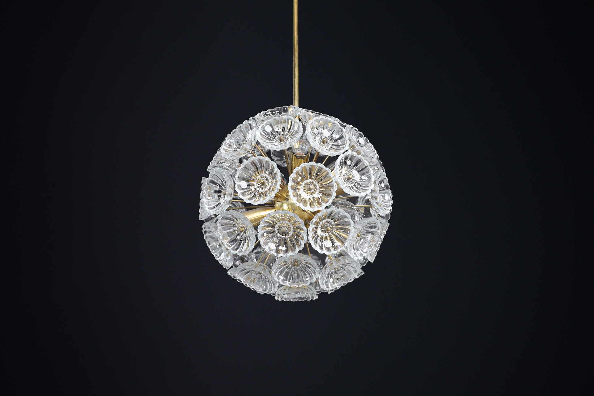 Mid century modern Floral Glass and Brass Chandelier, Germany, 1960s Mid-20th century