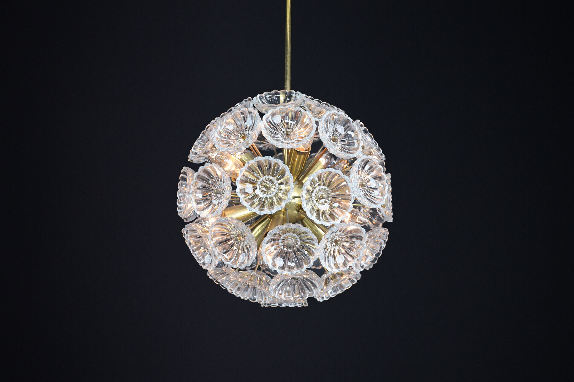 Mid century modern Floral Glass and Brass Chandelier, Germany, 1960s Mid-20th century