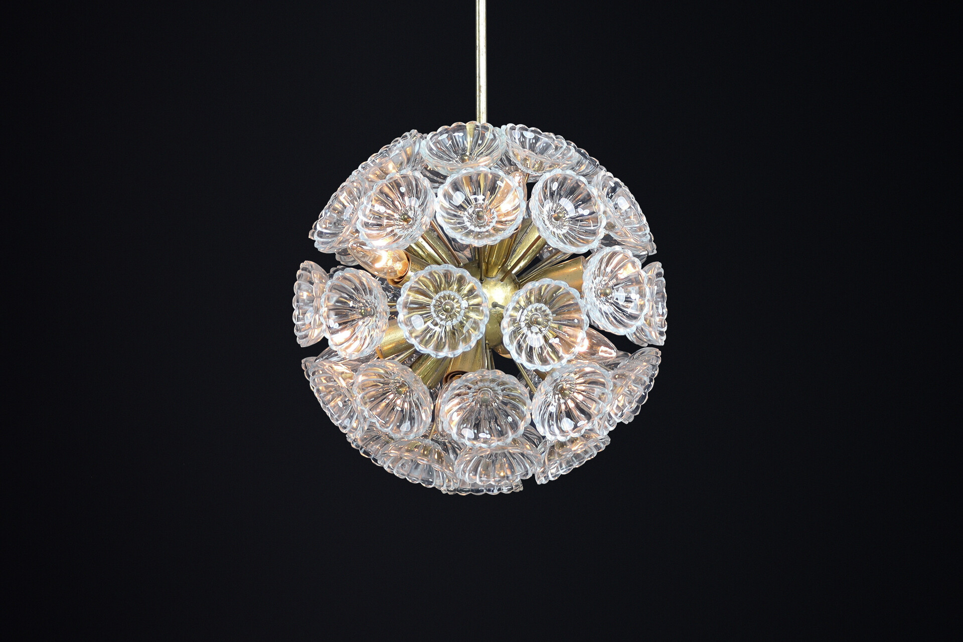 Mid century modern Floral Glass and Brass Chandelier, Germany, 1960s Mid-20th century