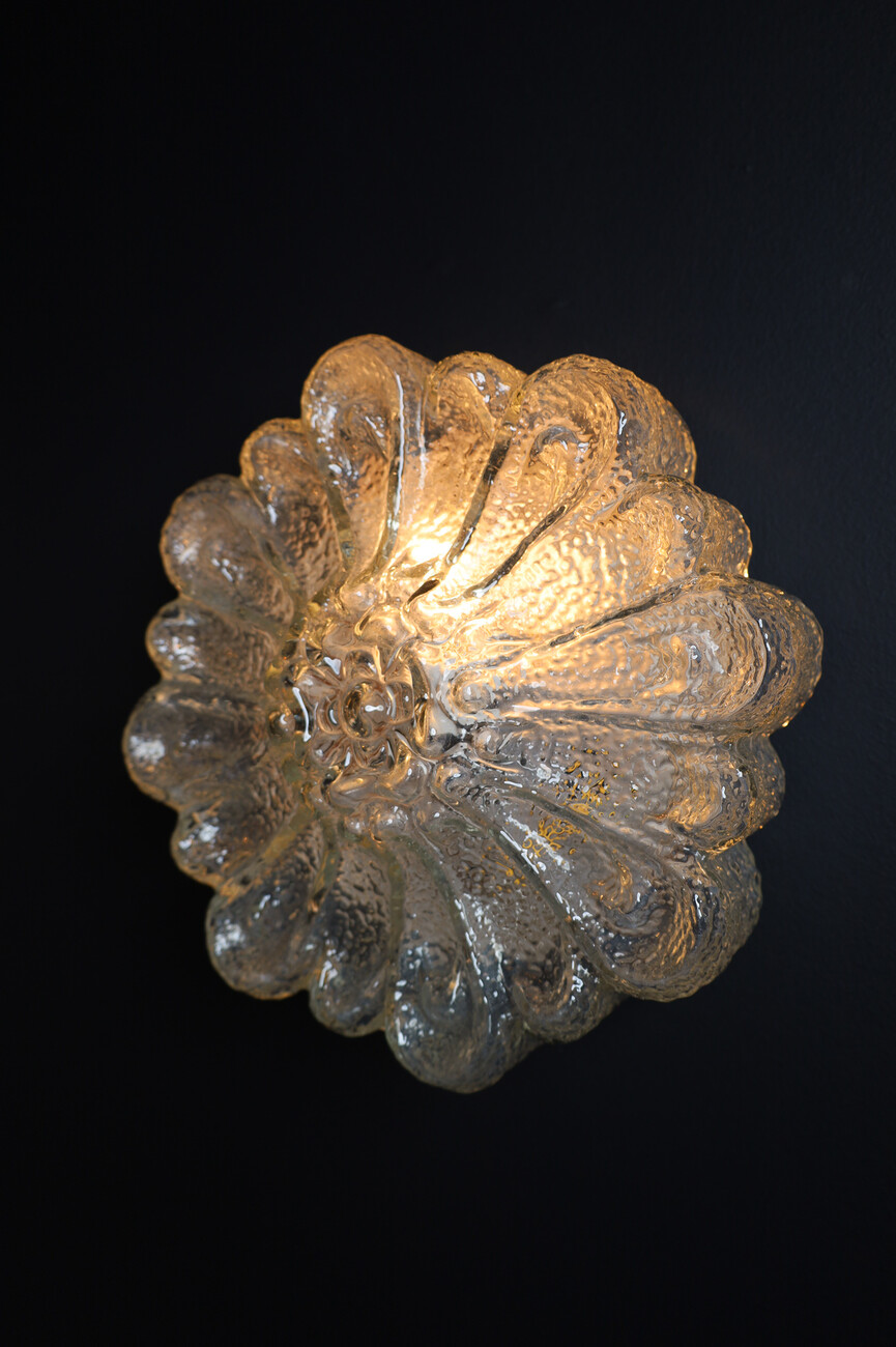 Mid century modern Floral Shape Flush Mount or Wall Light Germany 1960s Mid-20th century