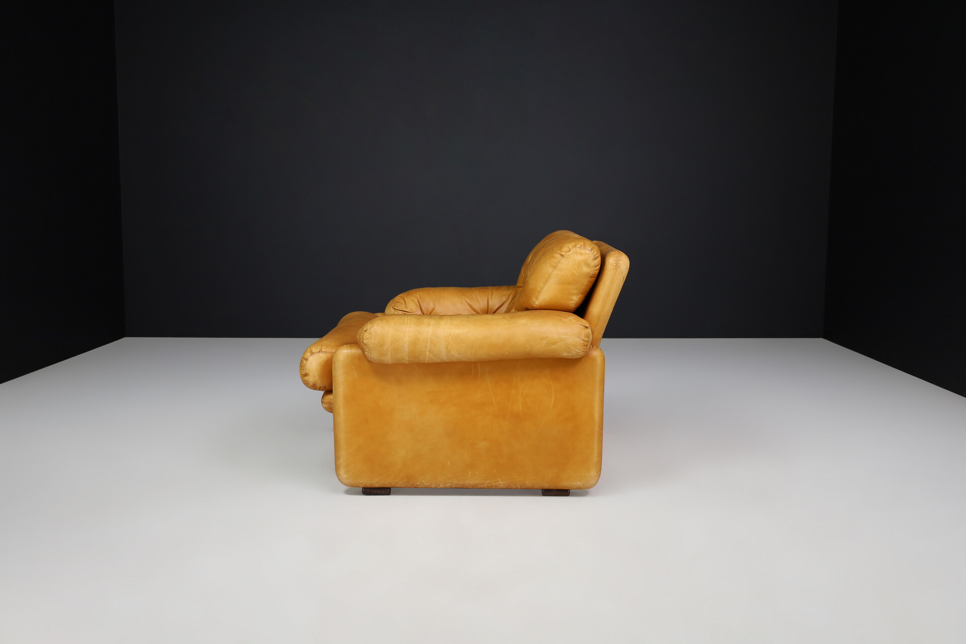 Mid century modern Leather Coronado Lounge chair By Afra & Tobia Scarpa For B&B Italia 1972 Mid-20th century