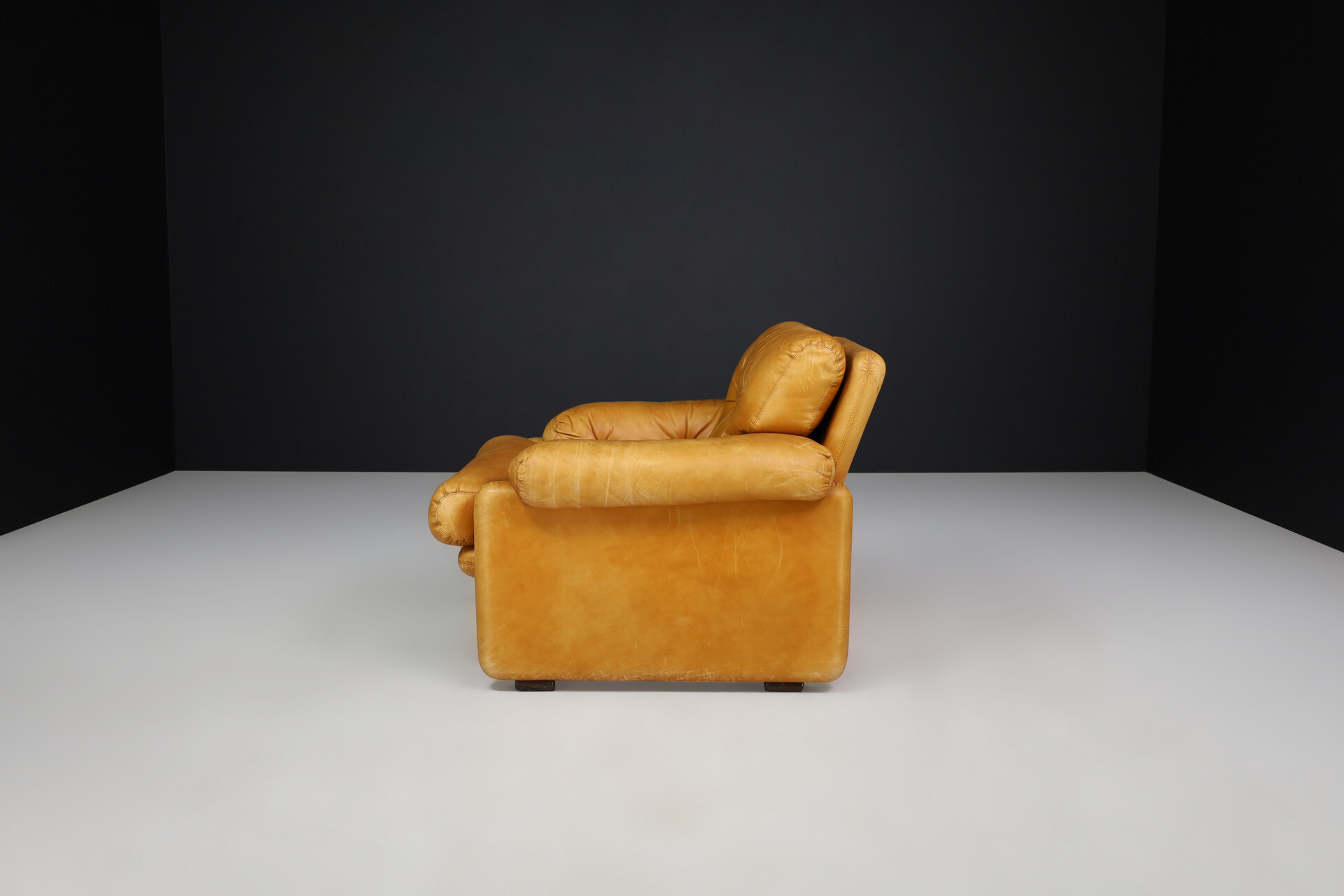 Mid century modern Leather Coronado Lounge chair By Afra & Tobia Scarpa For B&B Italia 1972 Mid-20th century