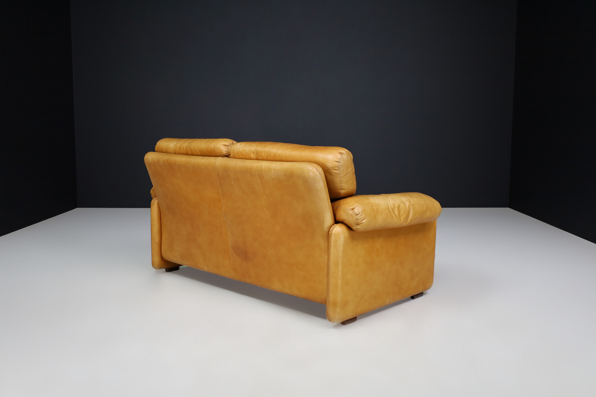 Mid century modern Leather Coronado Lounge Sofa By Afra & Tobia Scarpa For B&B Italia 1972 Mid-20th century