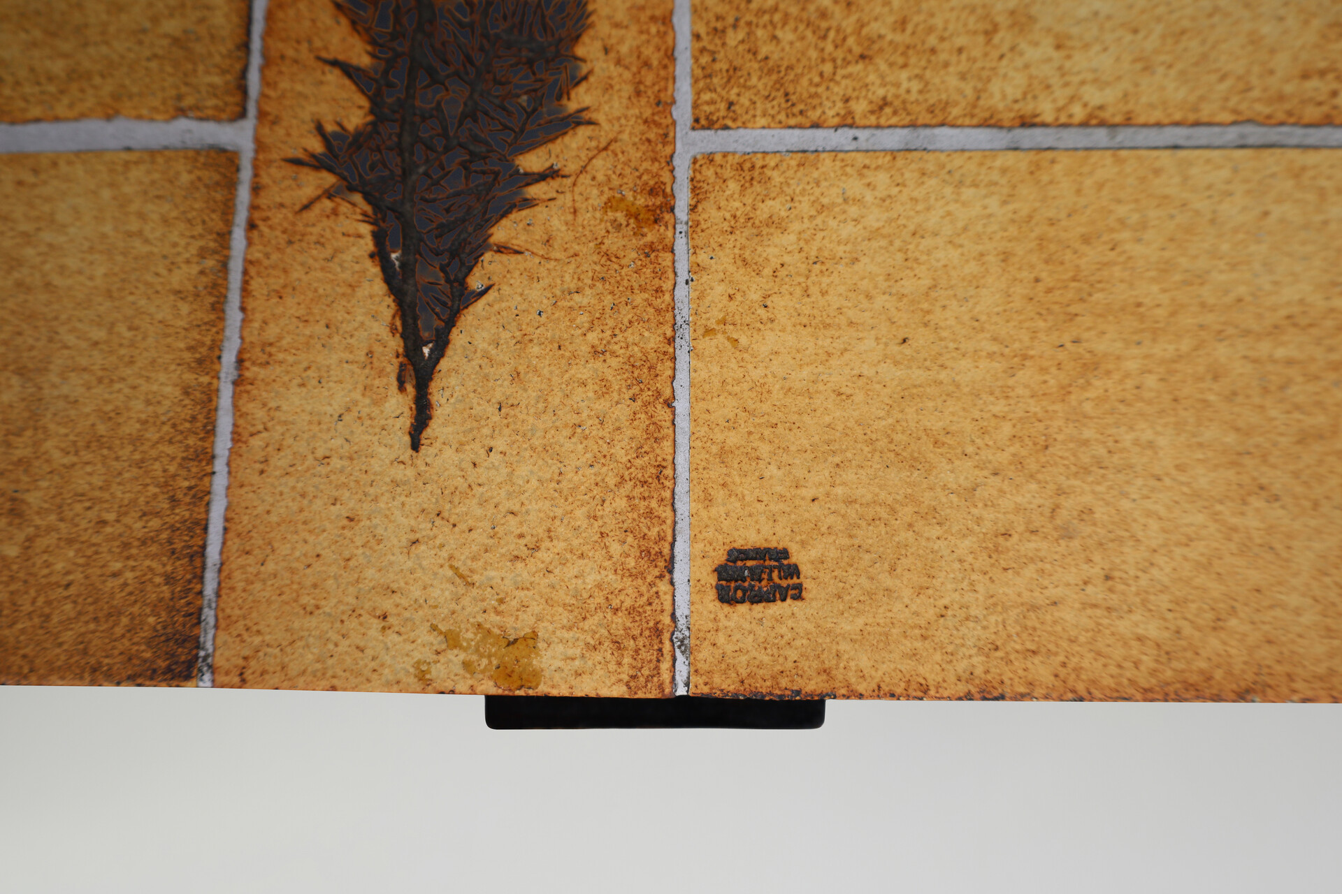 Mid century modern Roger Capron “Garrigue” Coffee Table with Botanical Tiles, France, 1960s Mid-20th century