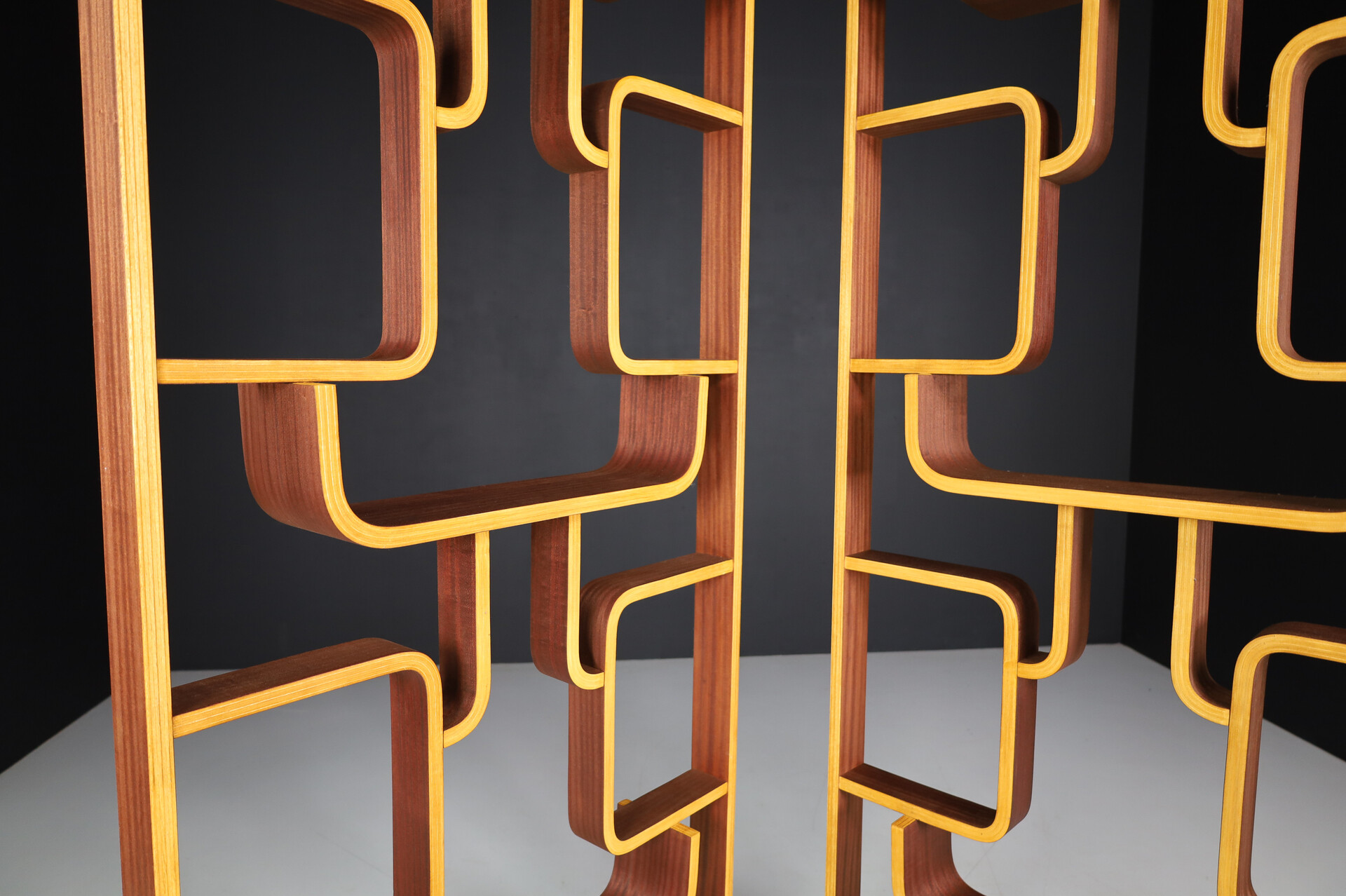 Mid century modern Room Divider by Ludvik Volak for Drevopodnik Holesov, 1960s Mid-20th century