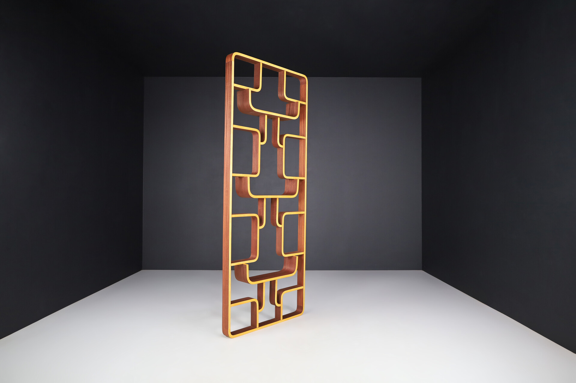 Mid century modern Room Divider by Ludvik Volak for Drevopodnik Holesov, 1960s Mid-20th century