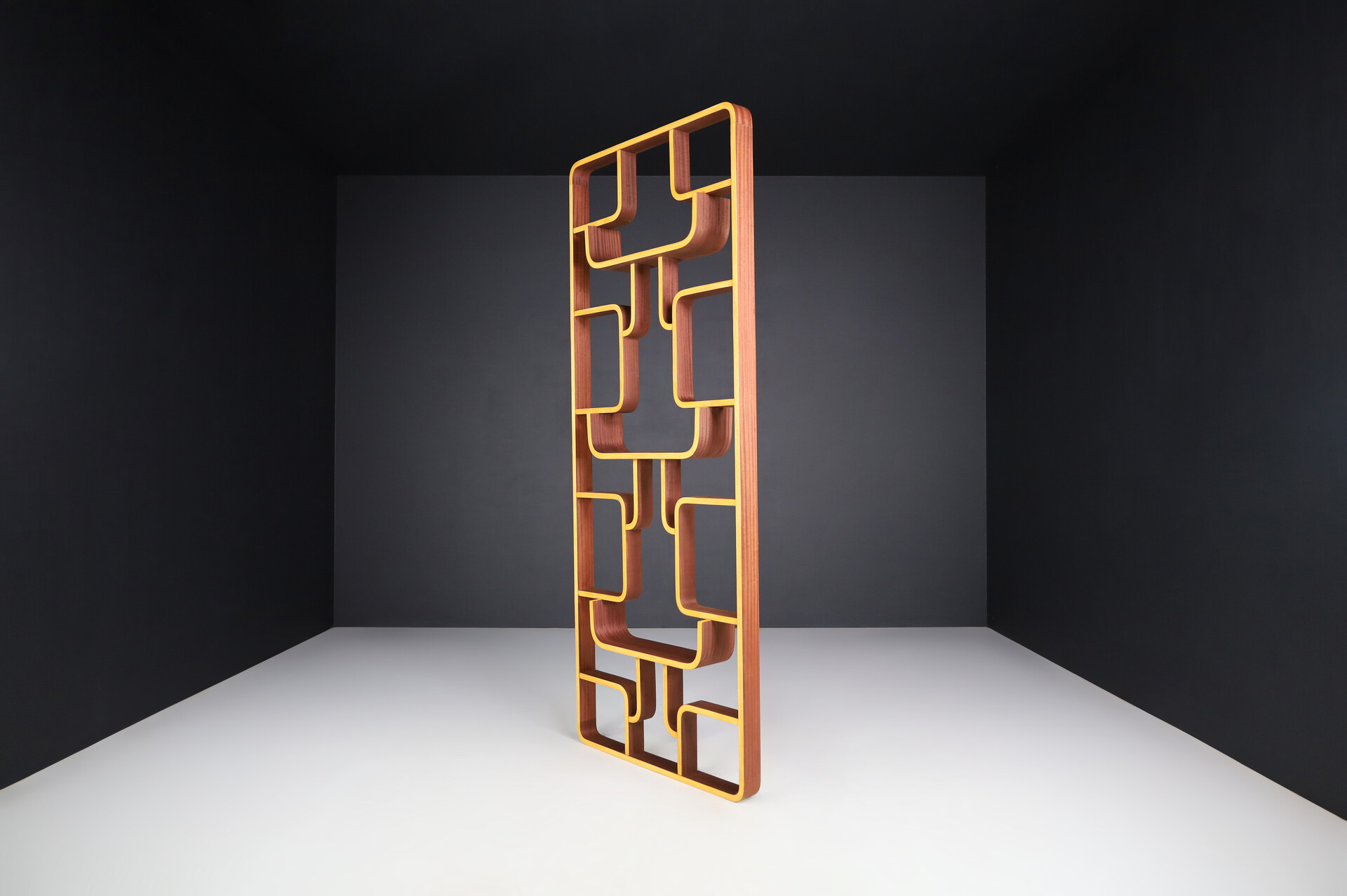 Mid century modern Room Divider by Ludvik Volak for Drevopodnik Holesov, 1960s Mid-20th century