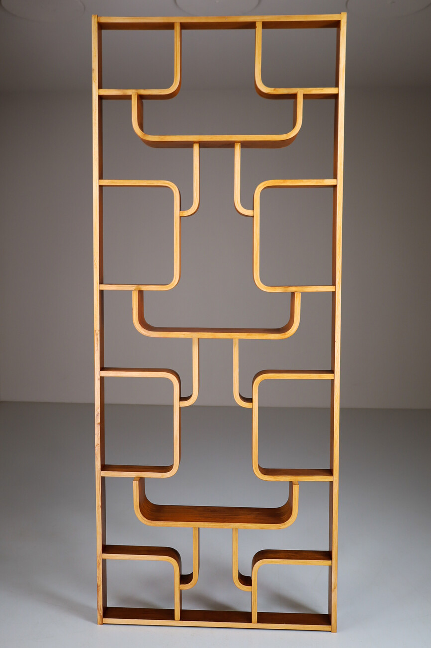 Mid century modern Room Divider in Mahogany Bentwood by Ludvik Volak Czech Republic, 1960s Mid-20th century