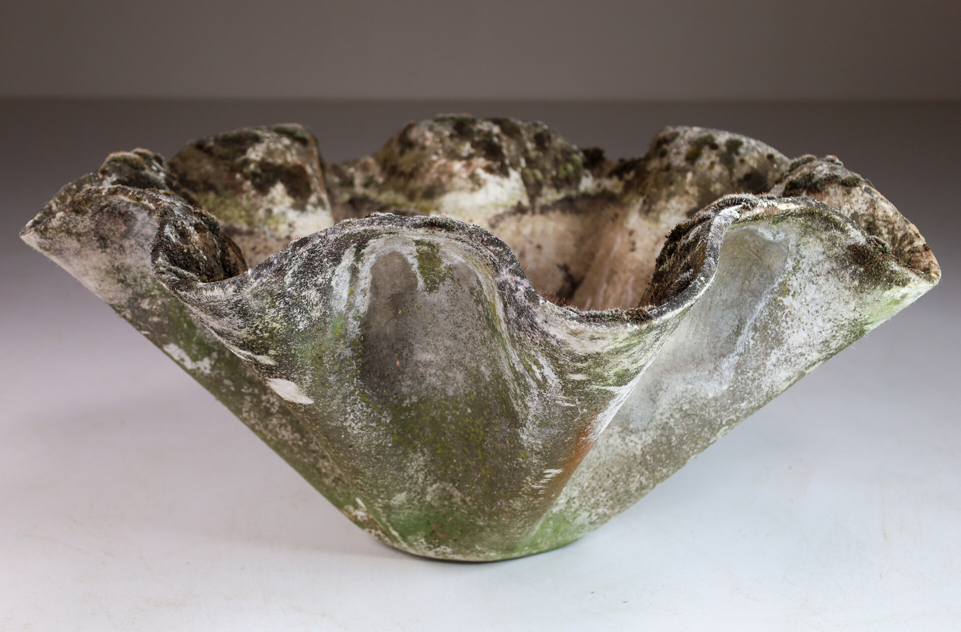 Mid century modern Willy Guhl for Eternit Large Handkerchief Elephant Ear Planter, Switserland 1970s Mid-20th century