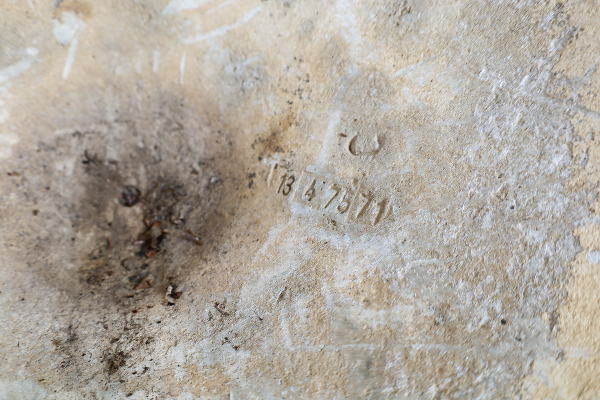 Mid century modern Willy Guhl Planter, Switserland 1970 