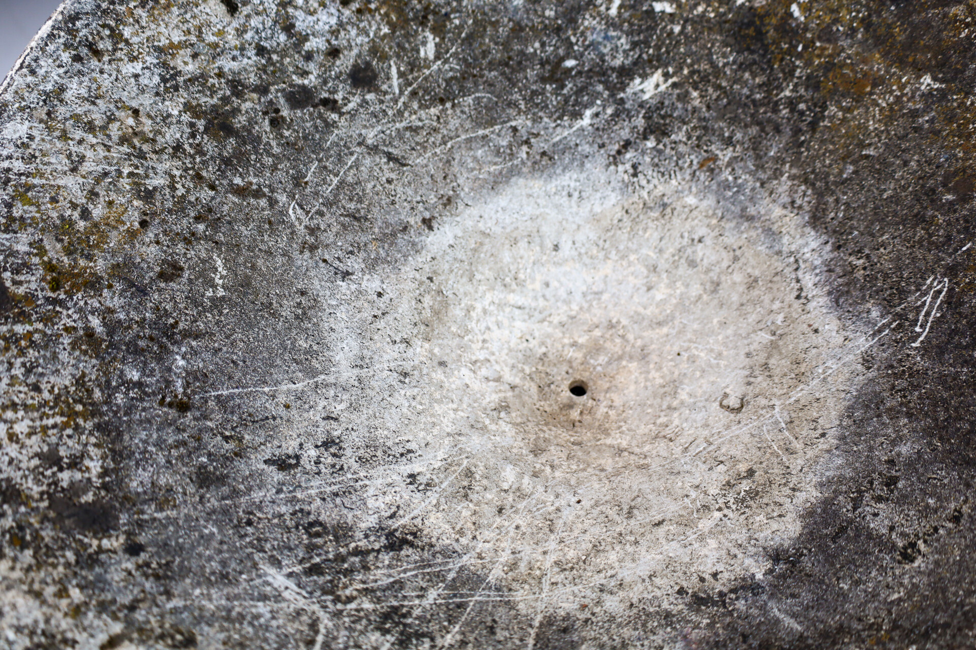 Mid century modern Willy Guhl Planter, Switserland 1970 