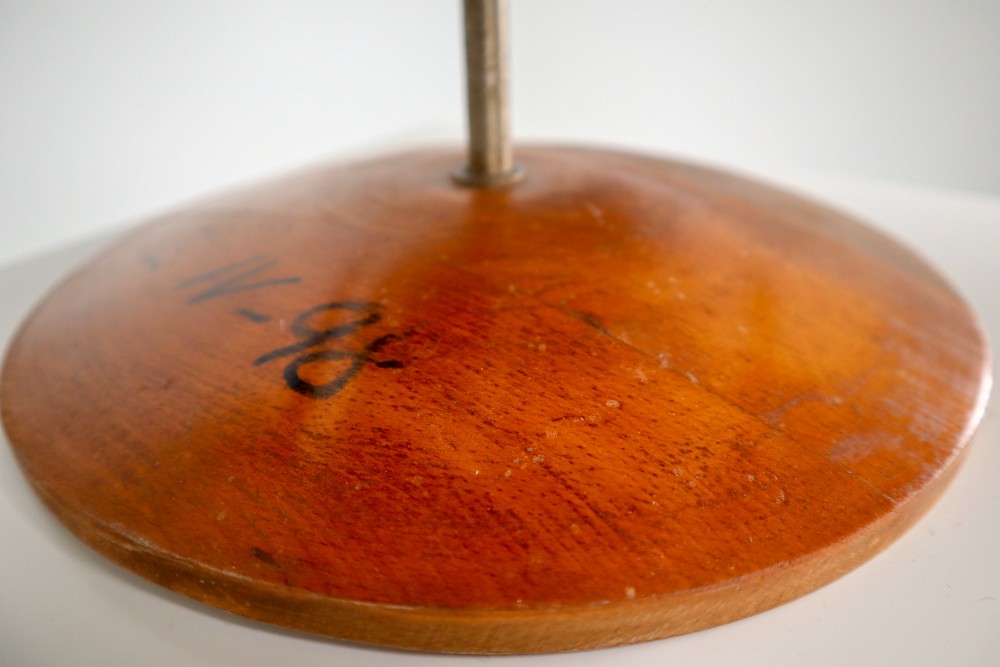 Midcentury Large Early Anatomical Model of a Flying Beetle, Praque, 1950s Mid-20th century