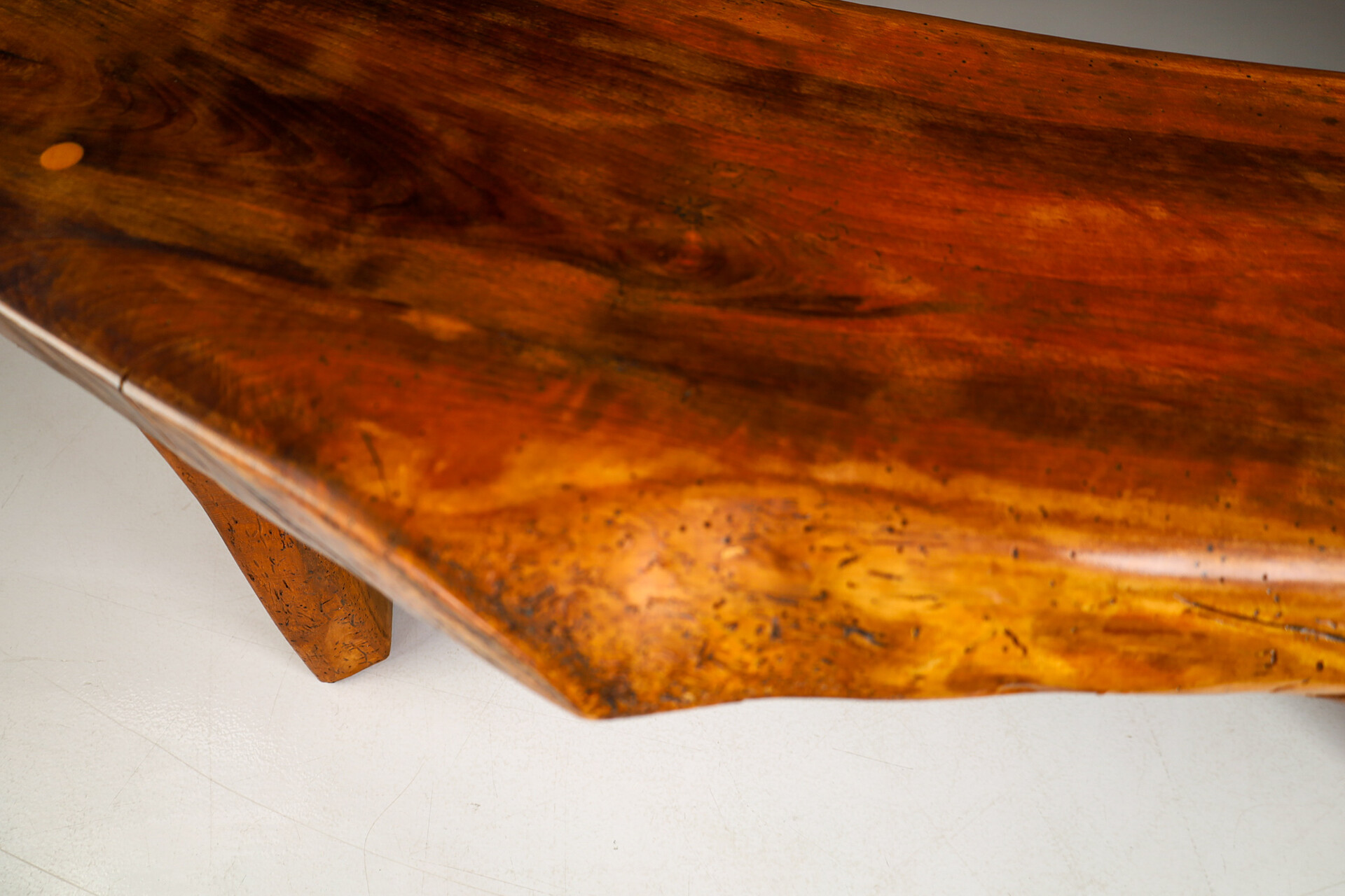 Primitive Elm Bench, France 1960 