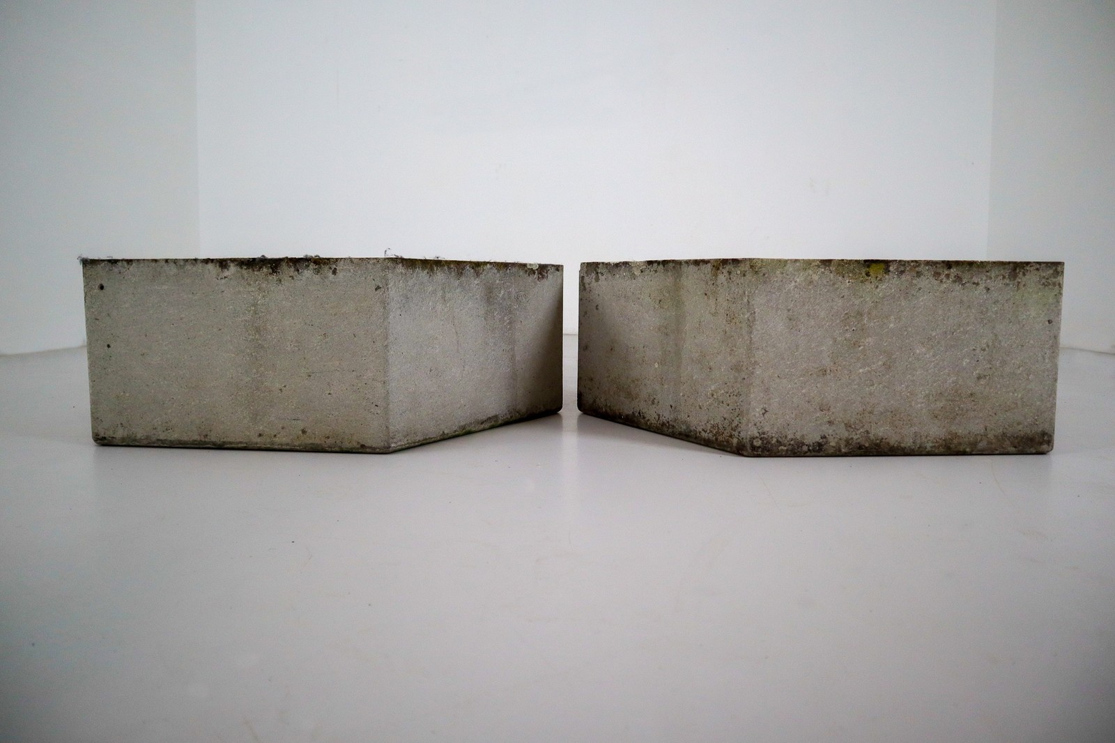 Two Large Hexagon Shaped Planters by Swiss Architect Willy Guhl