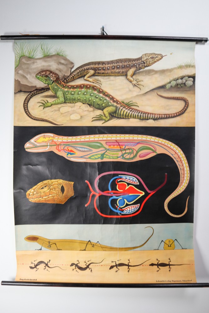 Vintage Wall-School Chart 