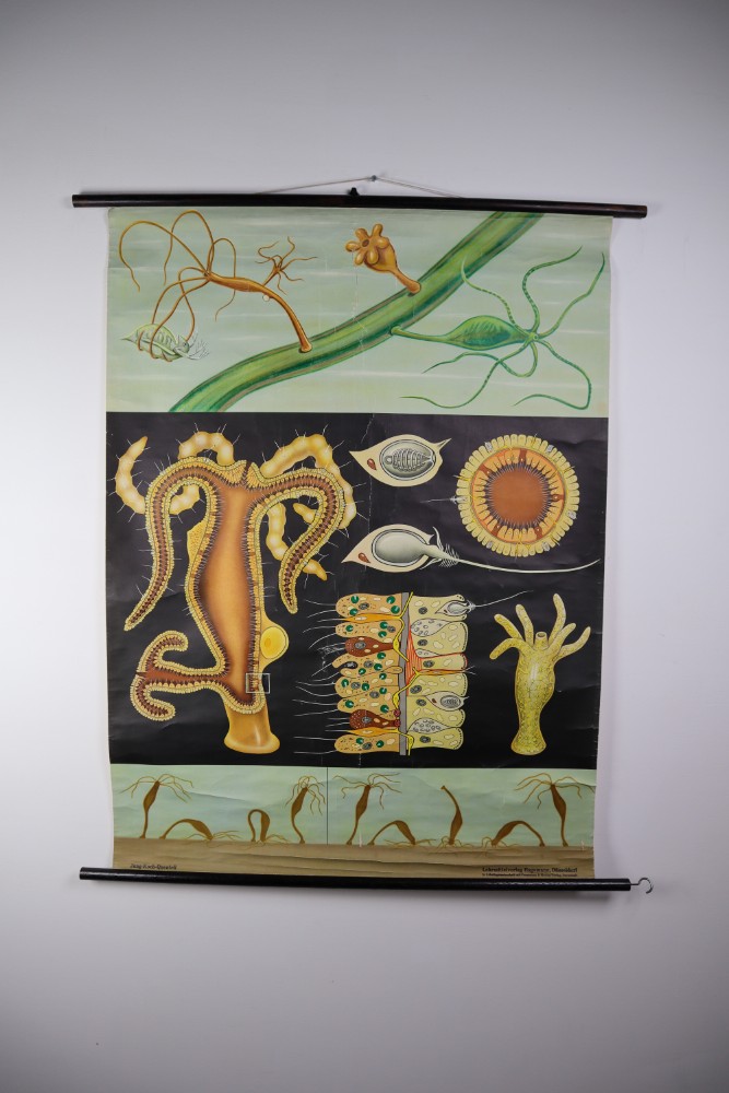 Vintage Wall-School Chart 