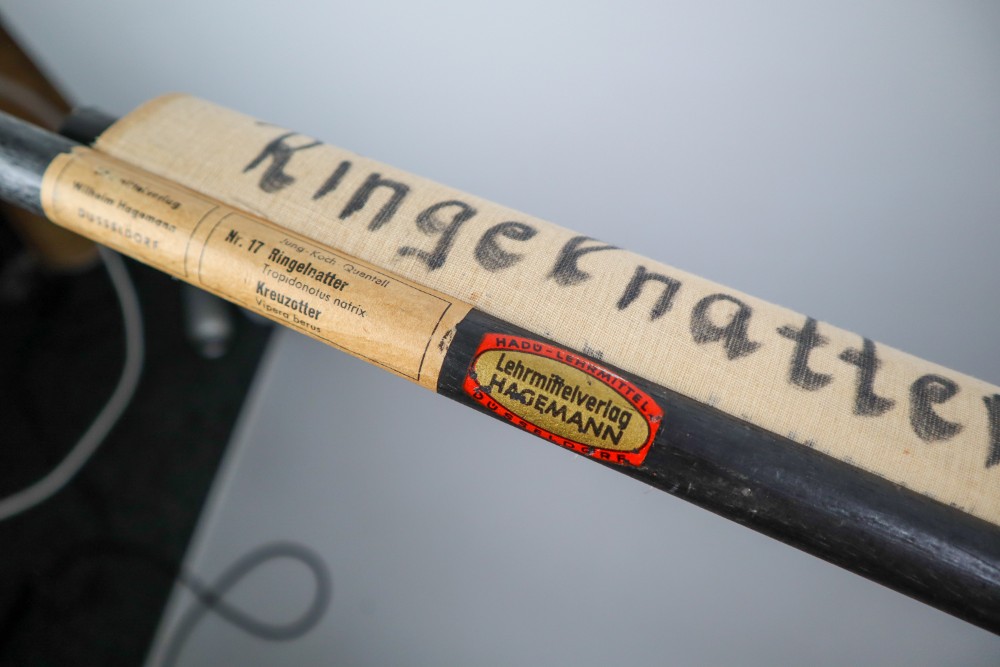 Vintage Wall-School Chart 