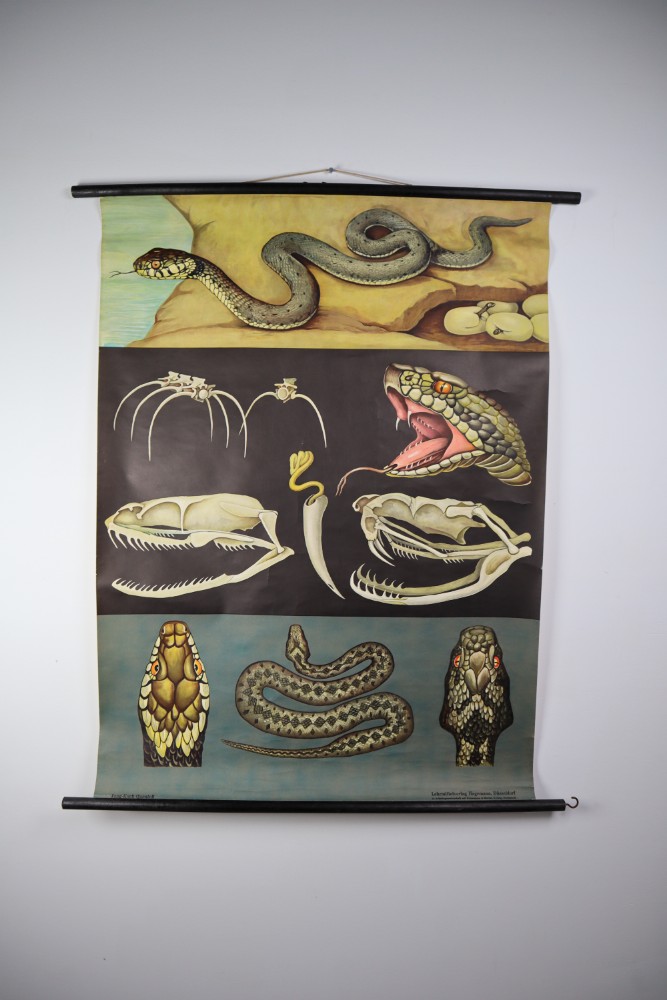 Vintage Wall-School Chart 