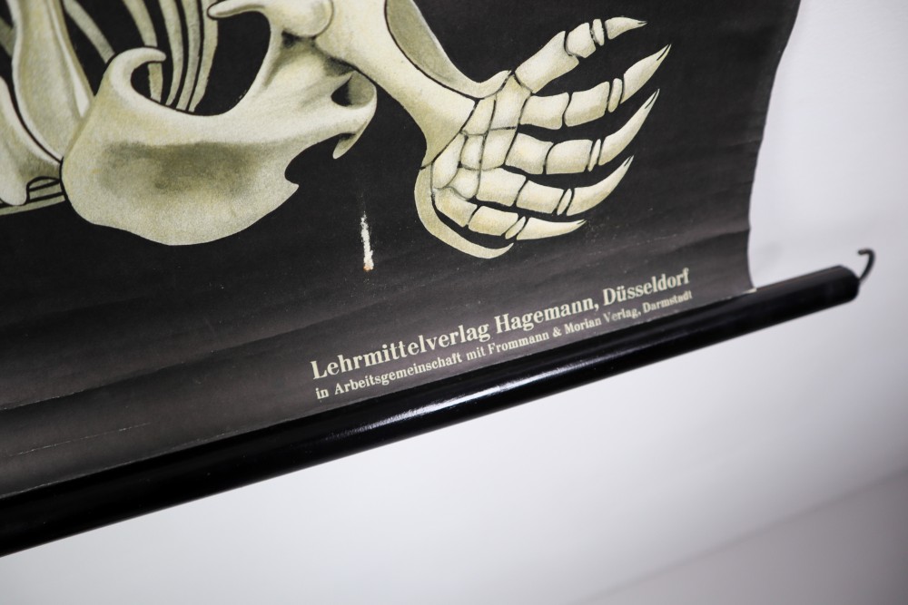 Wall-School Chart From Jung-Koch-Quentell 1960s Mid-20th century