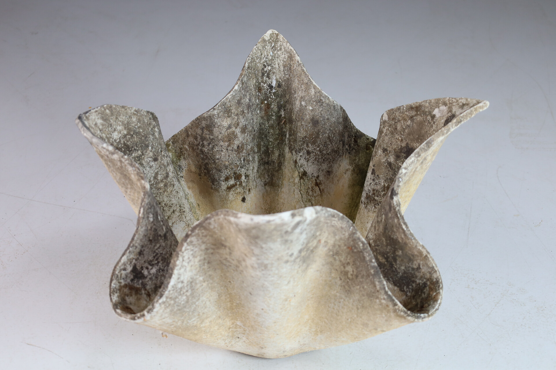 Willy Guhl Handkerchief Planter, 1960 Switserland