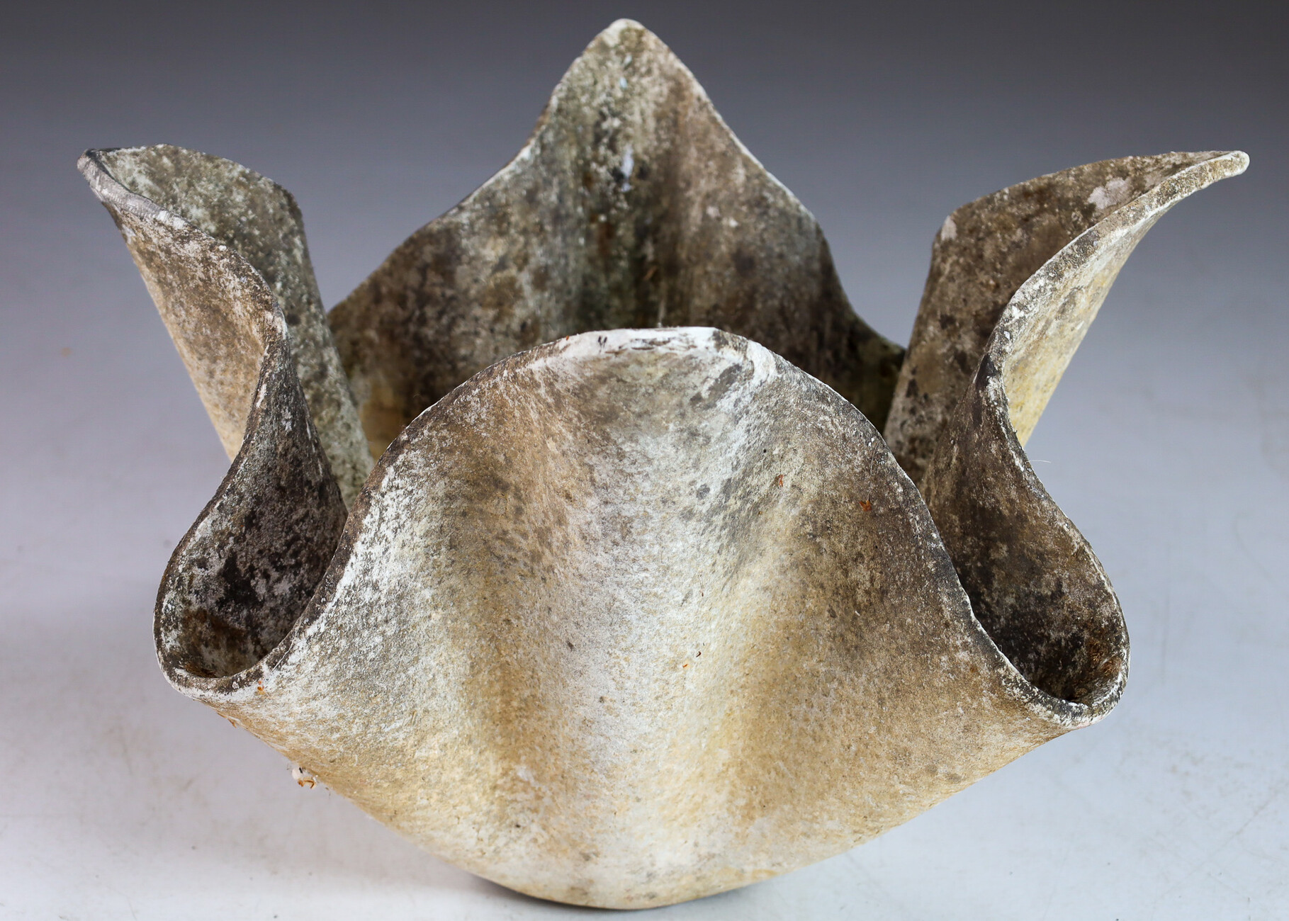 Willy Guhl Handkerchief Planter, 1960 Switserland